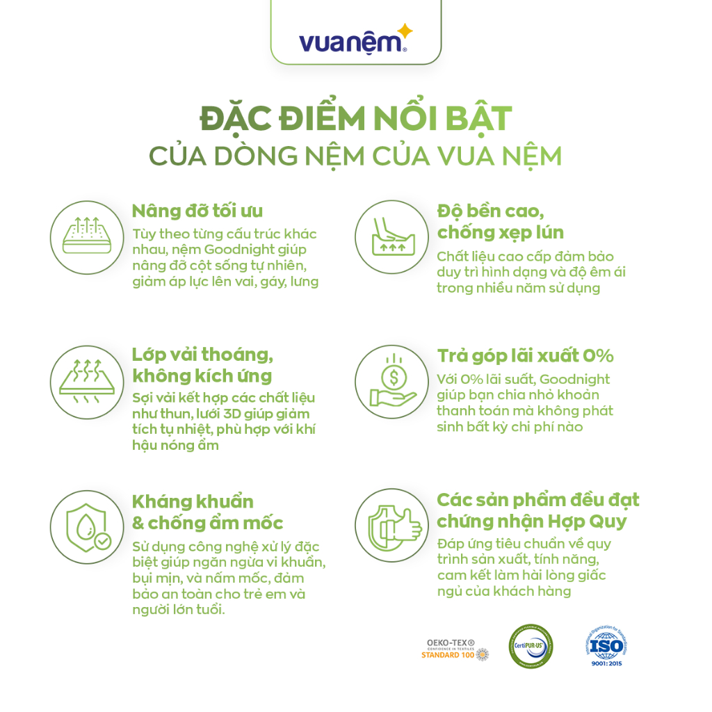 [ĐƠN 10TR TẶNG 1 BỘ CHĂN BÉ] Nệm Cao Su Foam Giảm Đau Lưng, Chữa Lành Gummi Lite 10cm