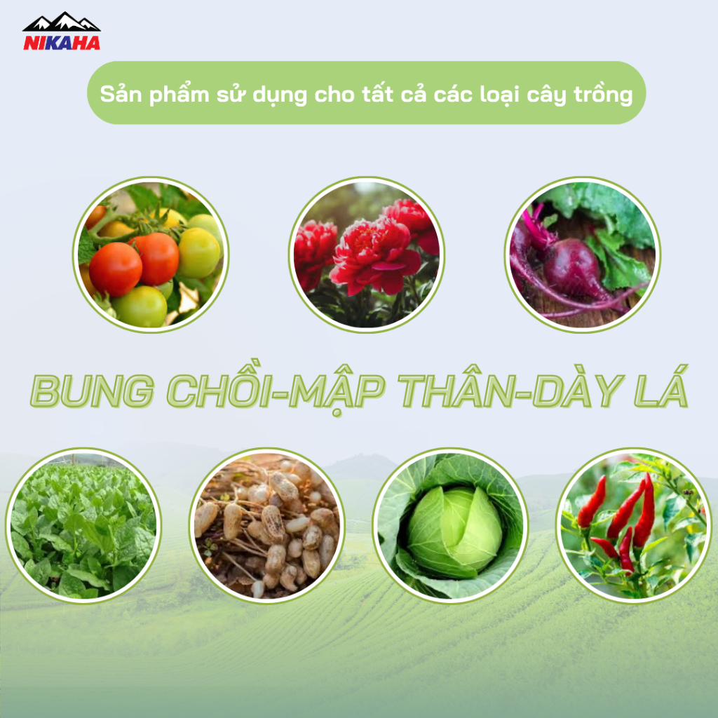 NIKAHA - Phân Bón Hữu Cơ Amino, Kích Rễ Khỏe, Đâm Đọt Nhanh, Xanh Mỡ Lá, Tăng Năng Suất - 1000ml