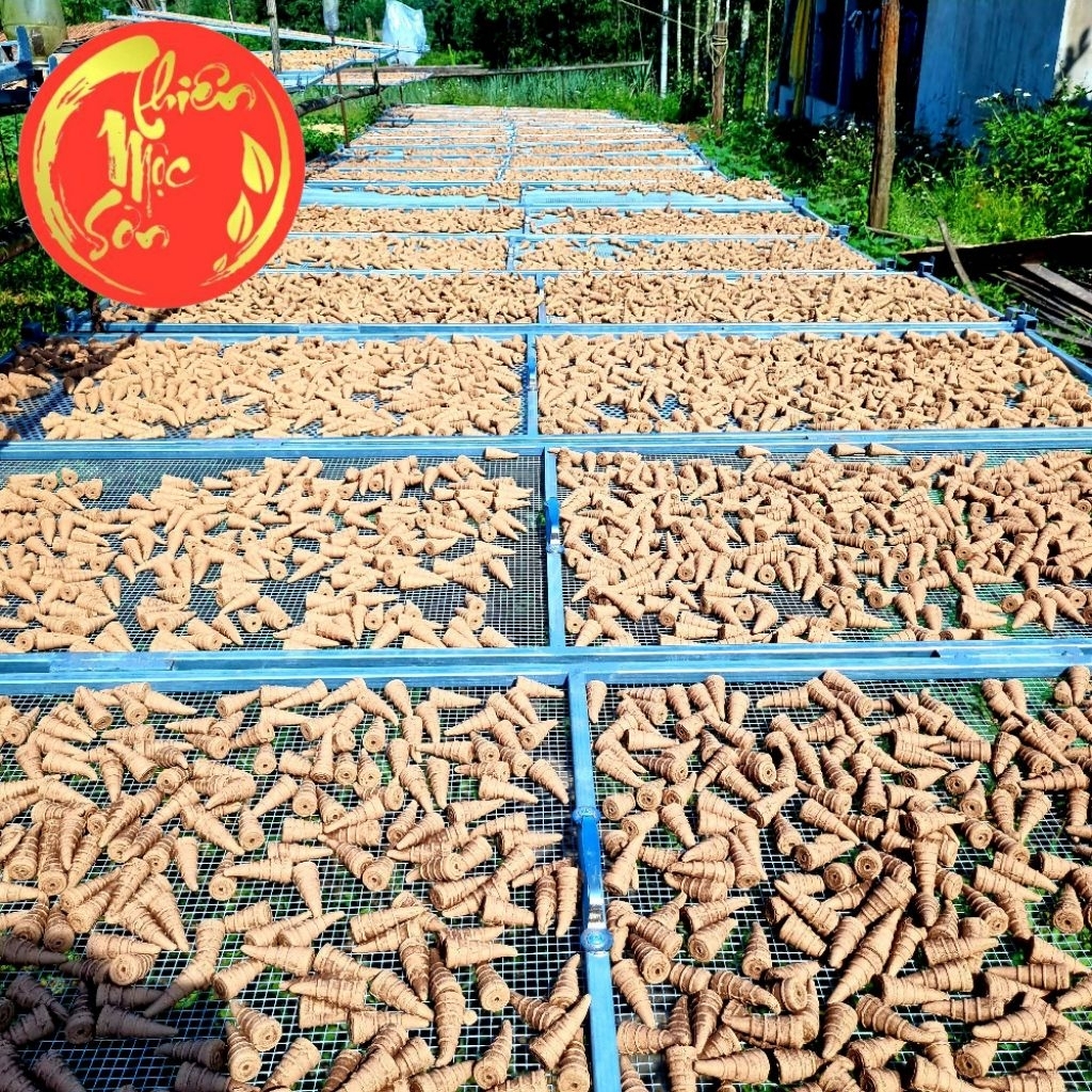Nụ Trầm Hương Thiên Mộc Sơn, Xông nhà, giảm stress, tẩy uế - Sạch an toàn không hóa chất