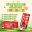 Nước uống thuần thảo dược Wewell Kool