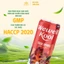 Nước uống thuần thảo dược Wewell Kool (200ml)