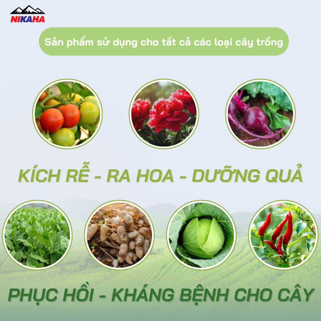 NIKAHA - Phân Bón Hữu Cơ Rau Màu - Hoa Màu, Kích Rễ Khỏe, Xanh Lá, Hãm Lộc, Kích Hoa - 33ml