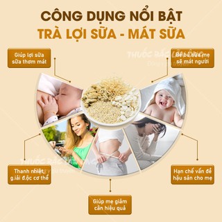 Trà lợi sữa, mát sữa, set mix 5 gói - Lãn Ông
