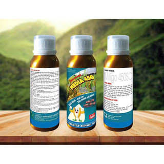 Media 450 hiệu quả trên bệnh thán thư, cháy lá, khô bông, lem lép hạt, ngừa bệnh phổ rộng chai 240ml