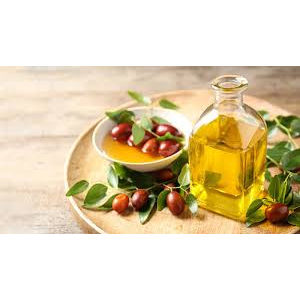 DẦU JOJOBA (GOLDEN JOJOBA OIL)
