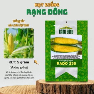 Hạt Giống Bắp Ngọt, Ngô Ngọt Rado 236 tỷ lệ nãy mầm cao, dễ trồng, ít sâu bệnh - Gói 5gr