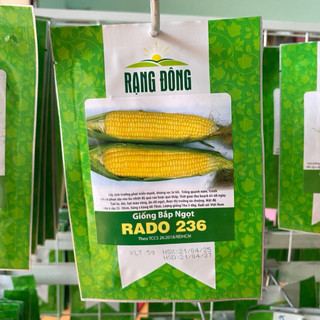 Hạt Giống Bắp Ngọt, Ngô Ngọt Rado 236 tỷ lệ nãy mầm cao, dễ trồng, ít sâu bệnh - Gói 5gr