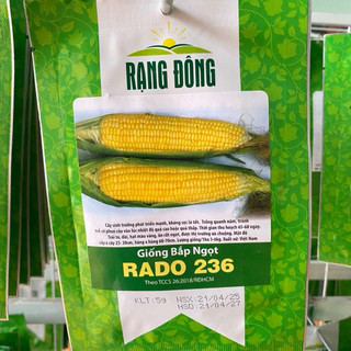 Hạt Giống Bắp Ngọt, Ngô Ngọt Rado 236 tỷ lệ nãy mầm cao, dễ trồng, ít sâu bệnh - Gói 5gr