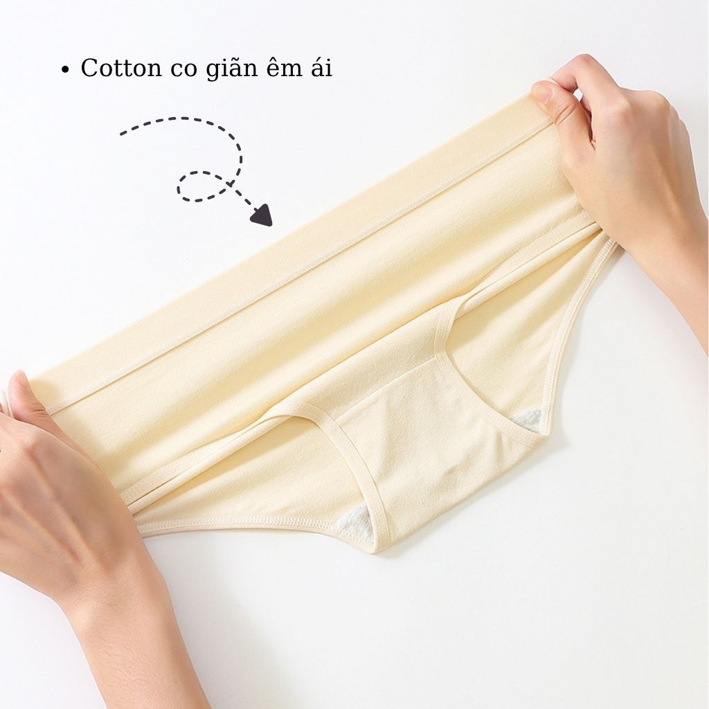 SET 3 Quần cotton nữ cao cấp thấm hút mồ hôi tốt cạp vừa tôn dáng kiểu dáng basic LANIXA L2020