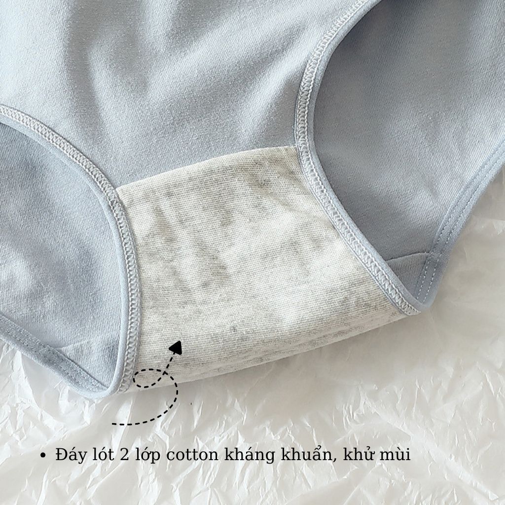 SET 3 Quần cotton nữ cao cấp thấm hút mồ hôi tốt cạp vừa tôn dáng kiểu dáng basic LANIXA L2020