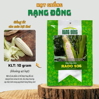 Hạt Giống Bắp Nếp Dẻo Rado 936 Bắp có độ Dẽo cao, dễ trồng, ít sâu bệnh - Gói 10gr