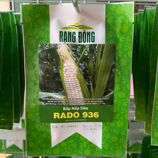 Hạt Giống Bắp Nếp Dẻo Rado 936 Bắp có độ Dẽo cao, dễ trồng, ít sâu bệnh - Gói 10gr