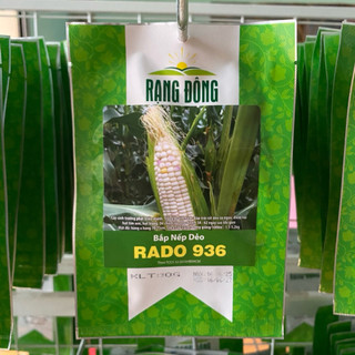 Hạt Giống Bắp Nếp Dẻo Rado 936 Bắp có độ Dẽo cao, dễ trồng, ít sâu bệnh - Gói 10gr
