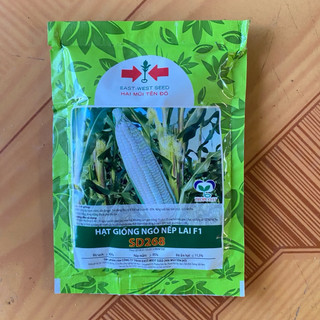 (500g,100g) Hạt Giống Ngô, Bắp Nếp Lai Thái Lan siêu dẽo, dễ trồng, tỷ lệ nẩy mầm cao - Hai Mũi Tên Đỏ