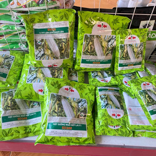 (500g,100g) Hạt Giống Ngô, Bắp Nếp Lai Thái Lan siêu dẽo, dễ trồng, tỷ lệ nẩy mầm cao - Hai Mũi Tên Đỏ