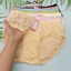 Quần lót nữ Bigsize thun lạnh gấm hoa xinh siêu mát siêu thoãi mái cho size 75-115 ký - Đồ lót Bơ Chip