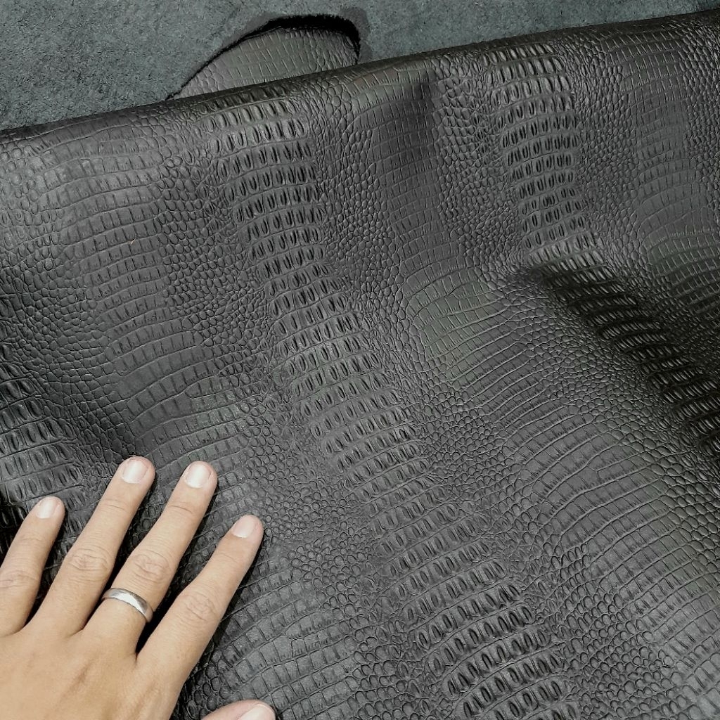 Cá sấu con đen