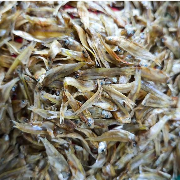 Khô Cá Cơm Sạch – Gói 250g, Cá Nhỏ Khô Tự Nhiên, Mặn Vừa Dễ Chế Biến