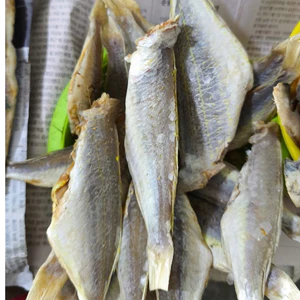 Khô Cá Đổng 1 Nắng – Gói 500g, Cá Cắt Khúc, Thịt Dày, Dễ Chế Biến