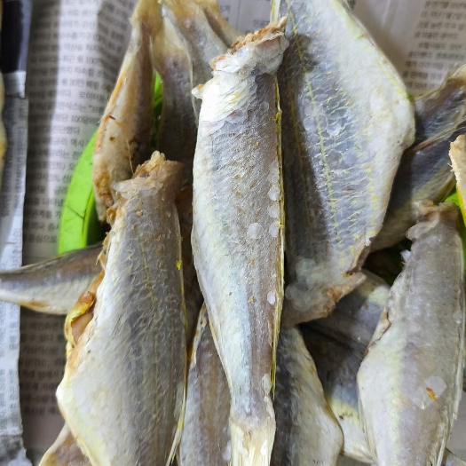 Khô Cá Đổng 1 Nắng – Gói 500g, Cá Cắt Khúc, Thịt Dày, Dễ Chế Biến