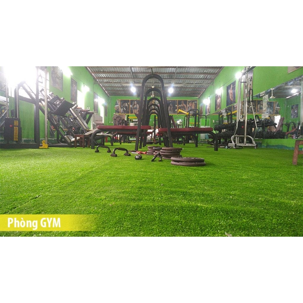 Combo 5m2(2m x 2.5m) Thảm cỏ nhân tạo 1cm đế PU không bụi đen trải sàn và dán tường, trải sân vườn
