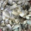 Khô Cá Sặc (Sặc Đồng) - Gói 500g - Cá Đồng Mặn Vừa, Gọn Nhẹ, Ăn Cơm Ngon