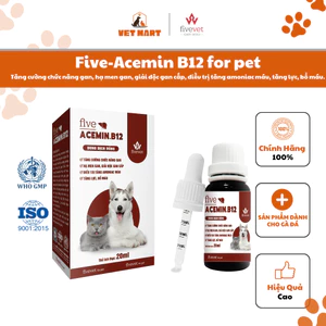 Five-Acemin B12 FOR PET Bổ Gan, Giải Độc, Hạ Men Gan, Tăng Lực, Bổ Máu Cho Gà Đá & Chim Cảnh