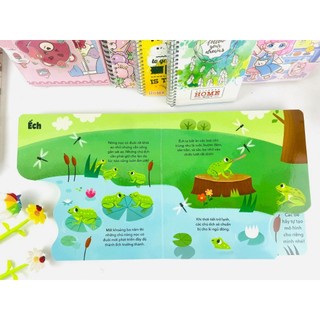 Sách - Vòng Đời Của Sâu Và Bướm/Nòng Nọc và Ếch - ndbooks (Arcturus - Sách bản quyền UK)