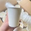 100 Ly Cốc Giấy 9oz Trắng Trơn, Dùng 1 Lần, Ly giấy văn phòng