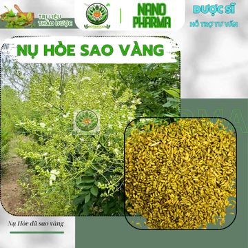 [Thảo Dược Sấy Khô] Trà Nụ Hoa Hòe sao vàng, Rutin bền mạch máu, hỗ trợ trĩ, huyết áp, suy giãn tĩnh mạch, chảy máu cam