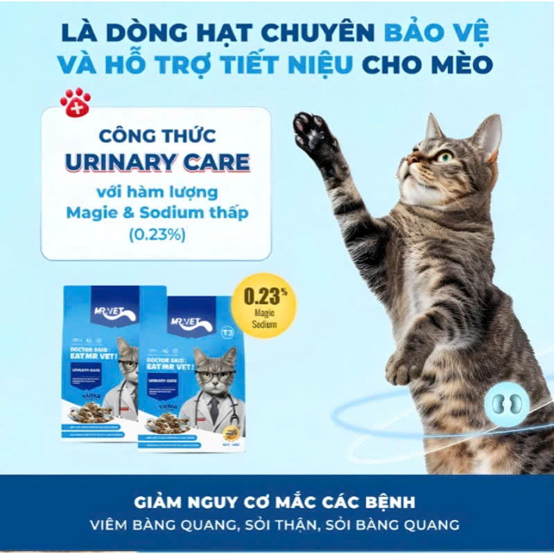 Thức ăn hạt cho mèo Mr Vet - 5 loại [1kg]