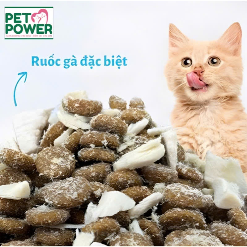 Thức ăn hạt cho mèo Mr Vet - 5 loại [1kg]