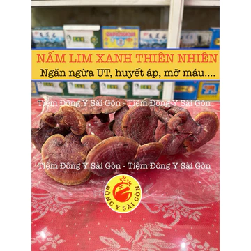 100gram Nấm Lim Xanh Tây Bắc, Nấm linh chi, nấm cổ cò hàng chuẩn, hỗ trợ ung thư, viêm gan, u sơ ga
