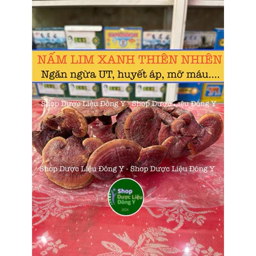 1kg Nấm Lim Xanh Rừng Tự Nhiên Hỗ Trợ Điều Trị U.ng thư, Điều Hòa Huyết Áp, Tăng Cường Sức Khỏe