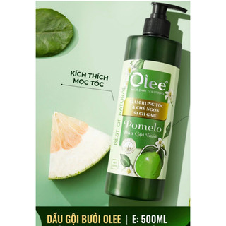 Dầu Gội Olee Kích Thích Mọc Tóc, Ngừa Nấm Da Đầu, Phục Hồi Tóc Chẻ Ngọn Và Sạch Gàu