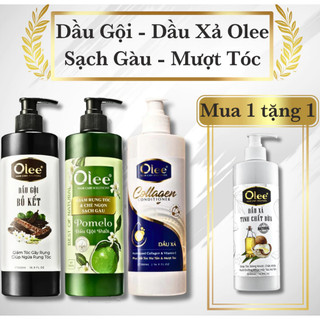 Dầu Gội Olee Kích Thích Mọc Tóc, Ngừa Nấm Da Đầu, Phục Hồi Tóc Chẻ Ngọn Và Sạch Gàu