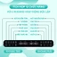 Máy Đun Nước Hâm Sữa Đa Năng Kamidi Speed 2 - Đun Nước Tiệt Trùng Bình Sữa Cho Bé- Tặng thố sứ