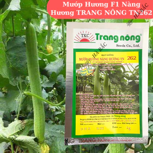 HẠT GIỐNG MƯỚP HƯƠNG NÀNG HƯƠNG TN 266 (5gr) - CHÍNH HÃNG TRANG NÔNG ( DATE MỚI NHẤT)