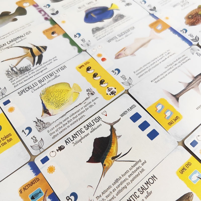 Boardgame Finspan Trò Chơi Nuôi Cá 2S5889