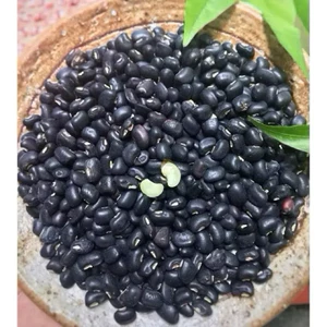 Đậu đen xanh lòng đậu sống, hàng mới bở