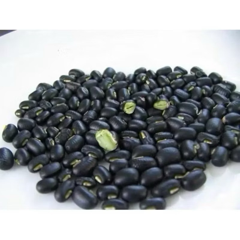 ( 1kg ) Đậu đen xanh lòng đậu sống, hàng mới bở