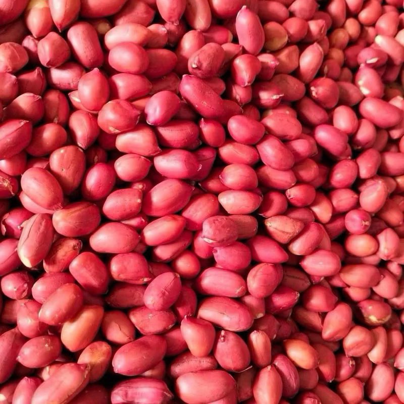 (1Kg) Lạc đỏ, lạc quê mới thu hoạch
