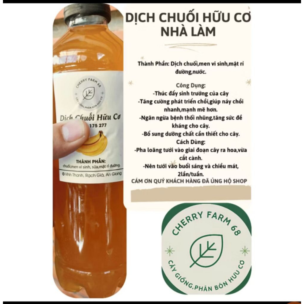 DỊCH CHUỐI VI SINH ( CHAI 500ML) DINH DƯỠNG CHO SỰ PHÁT TRIỂN CÂY TRỒNG NHIỀU GIAI ĐOẠN