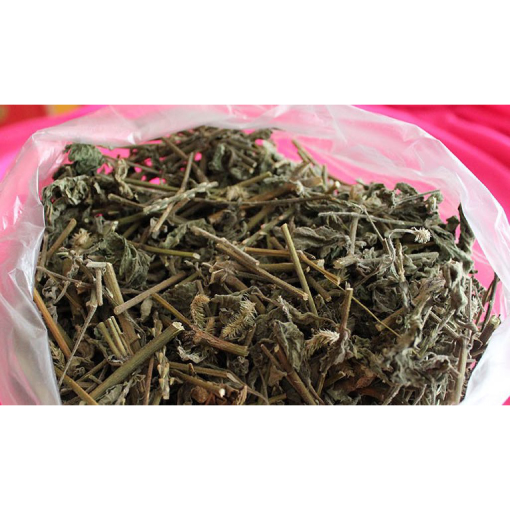 Cây Cỏ Xước Khô Tốt Cho Xương Khớp, Thoái Khoá Khớp