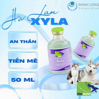 Combo 2 chai XYLA 50ml Interchemie Holland giúp an thần giảm đau cho động vật