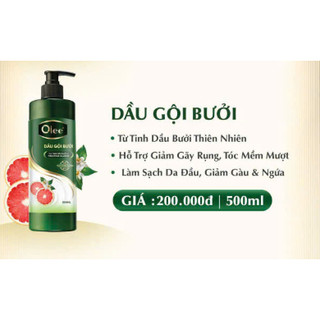 Dầu Gội Olee Kích Thích Mọc Tóc, Ngừa Nấm Da Đầu, Phục Hồi Tóc Chẻ Ngọn Và Sạch Gàu