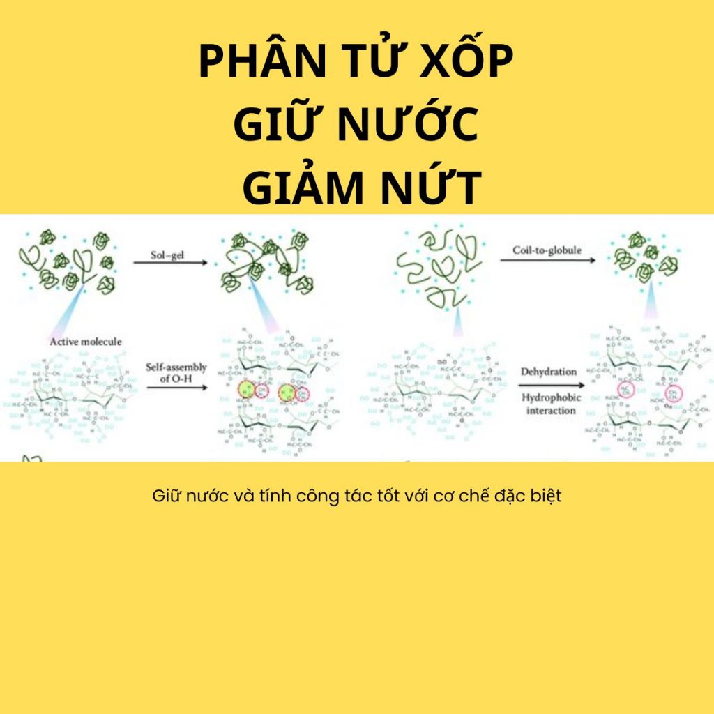 VLP Wall Speed – Phụ gia chống nứt, tăng độ bám cho vữa tô trát dùng cho vữa xây trát