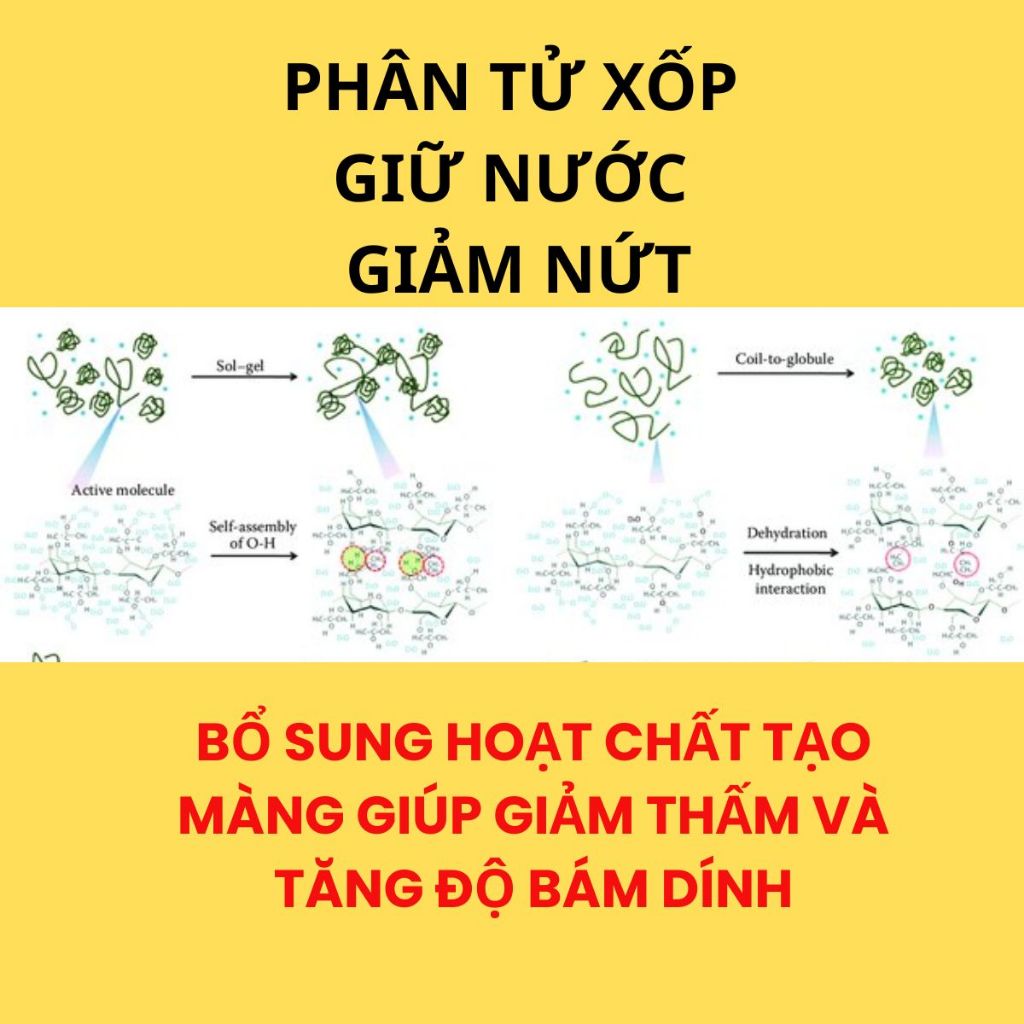 ( Đậm đặc x2) Tile Pro Phụ gia trộn keo dán gạch ốp-lát | tăng bám dính – Chống bong tróc – Thi công dễ dàng