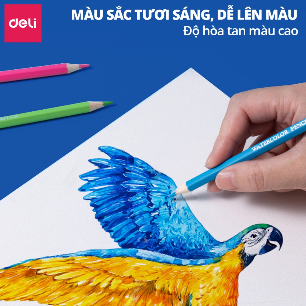 Bút Chì Màu Nước Deli Cao Cấp – Hộp Thiếc 24/36/48/72 Màu – Tặng Cọ – Tô vẽ chuyên nghiệp, khó gãy