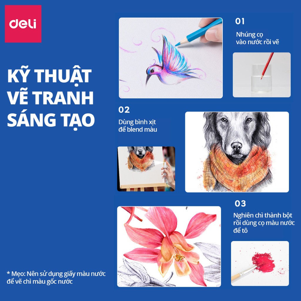 Bút Chì Màu Nước Deli Cao Cấp – Hộp Thiếc 24/36/48/72 Màu – Tặng Cọ – Tô vẽ chuyên nghiệp, khó gãy